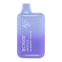 EBCREATE BC5000 BLUEBERRY POM ICE