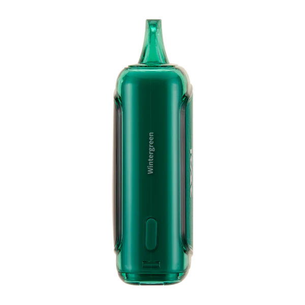 Wintergreen RAZ LTX DC25000 Vape | EBCREATE Store Wintergreen RAZ LTX DC25000 Vape | EBCREATE Store
